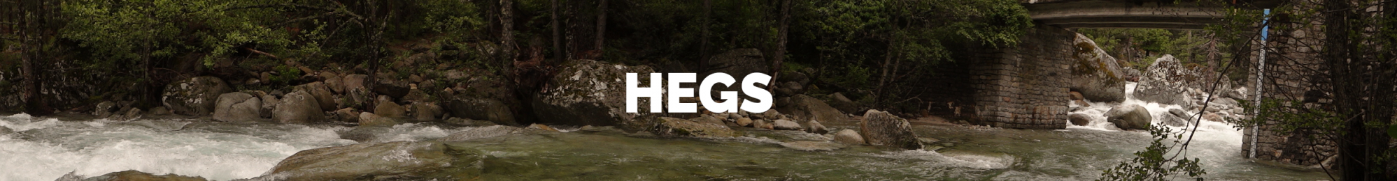 HEGS_bandeau.png