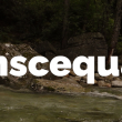 Conscequans_bandeau.png